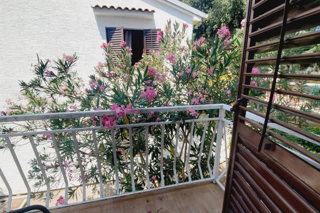 Apartamento Casa Blanca, Biograd na Moru Exterior foto